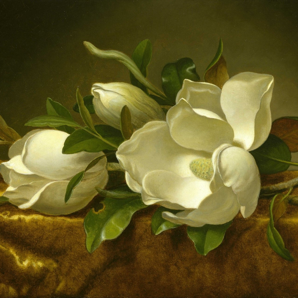 Hand - Painted White Magnolia Still Life – Floral Oil Painting - Oil Painting Haven