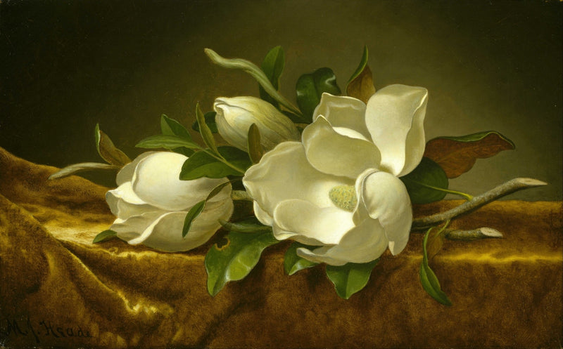 Hand - Painted White Magnolia Still Life – Floral Oil Painting - Oil Painting Haven