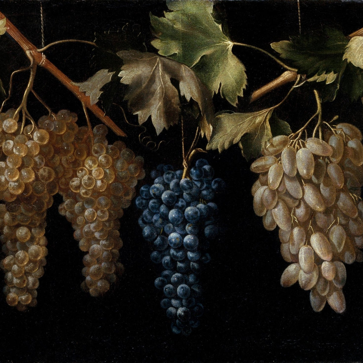 Hanging Grapes on Vine Branch - Still Life Oil Painting - Oil Painting Haven