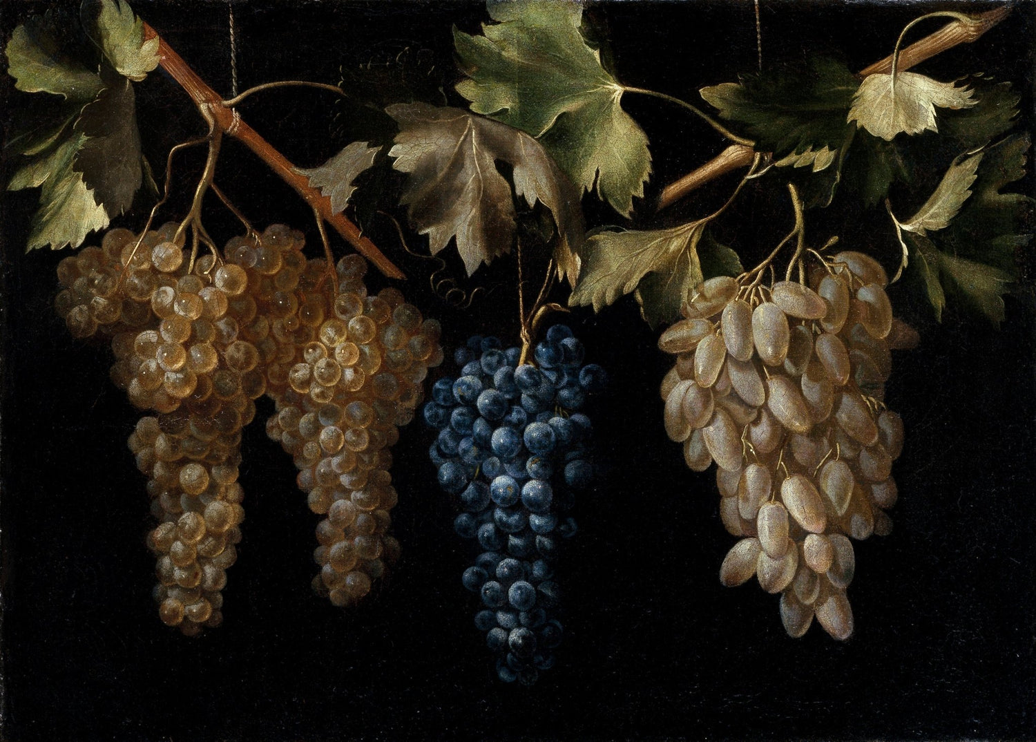 Hanging Grapes on Vine Branch - Still Life Oil Painting - Oil Painting Haven