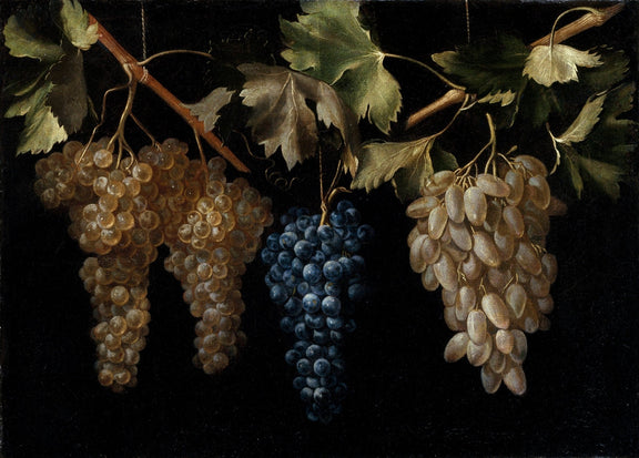 Hanging Grapes on Vine Branch - Still Life Oil Painting - Oil Painting Haven