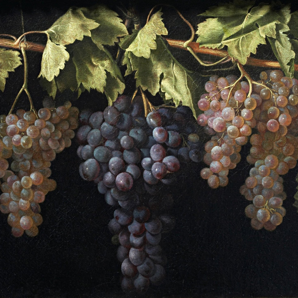 Hanging Grapes with Vine Leaves - Still Life Oil Painting - Oil Painting Haven