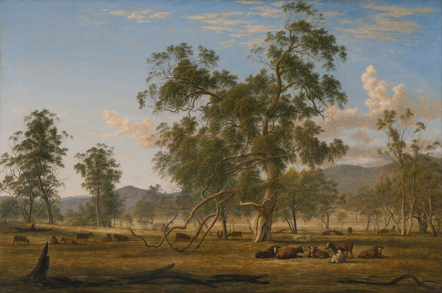 Landscap Oil Painting - Australian Gum Tree Landscape with Cattle - Oil Painting Haven
