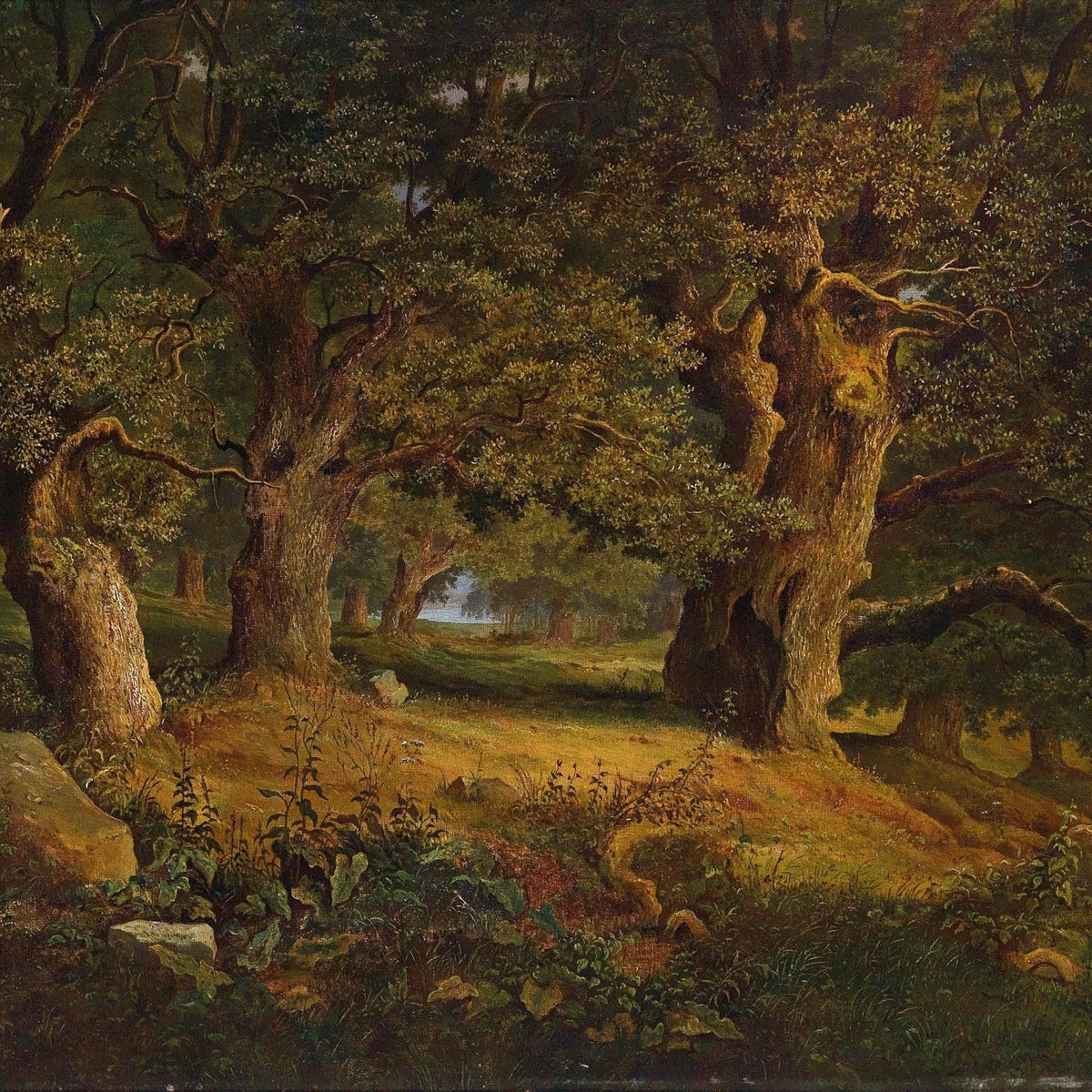 Landscape Oil Painting - Ancient Forest: Gnarled Oaks & Sunlit Path - Oil Painting Haven