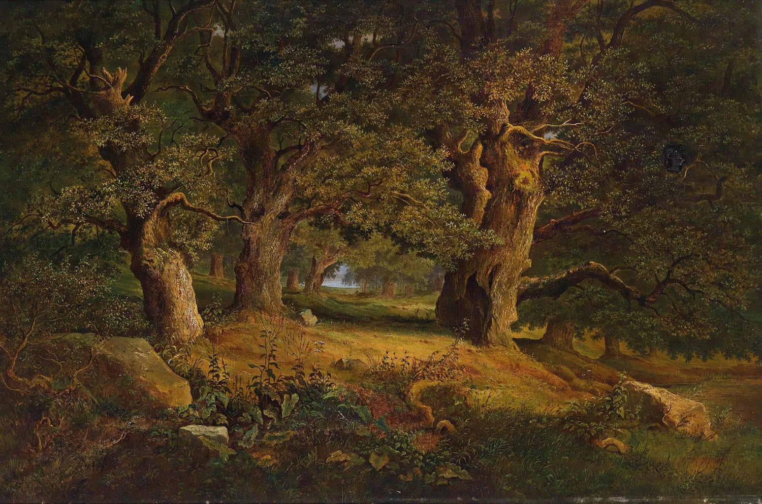 Landscape Oil Painting - Ancient Forest: Gnarled Oaks & Sunlit Path - Oil Painting Haven