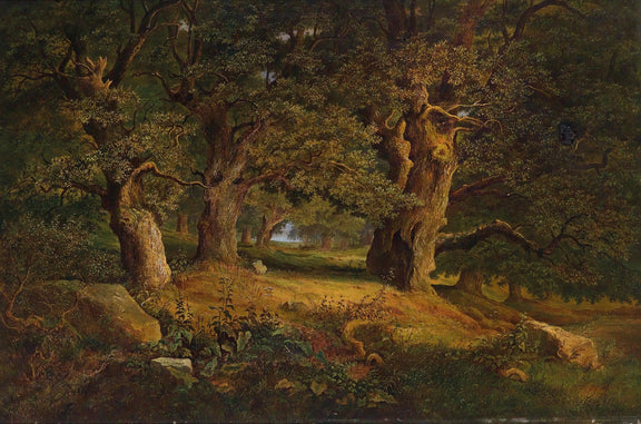 Landscape Oil Painting - Ancient Forest: Gnarled Oaks & Sunlit Path - Oil Painting Haven