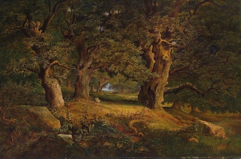 Landscape Oil Painting - Ancient Forest: Gnarled Oaks & Sunlit Path - Oil Painting Haven