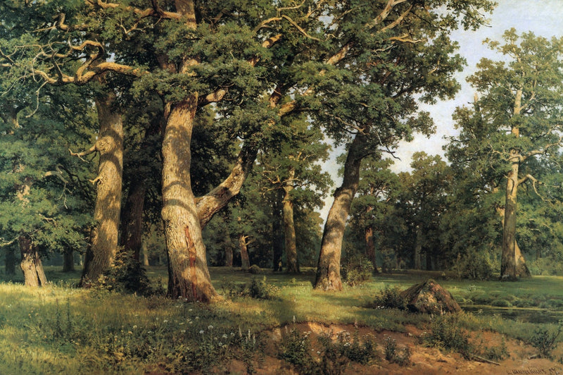 Peinture à l'huile de paysage - Clairière d'une forêt de chênes anciens