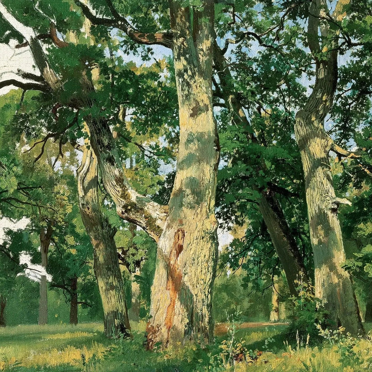 Landscape Oil Painting - Ancient Oak Grove in Sunlight Wall Art - Oil Painting Haven