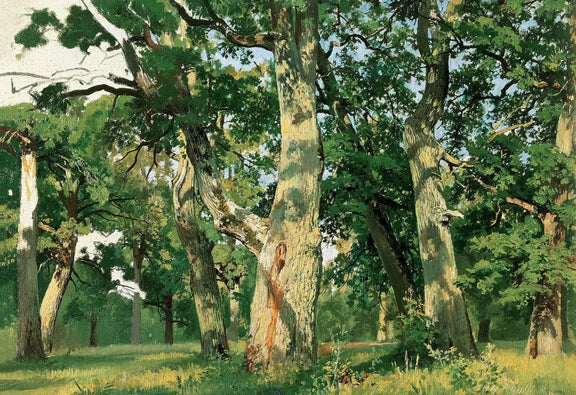 Landscape Oil Painting - Ancient Oak Grove in Sunlight Wall Art - Oil Painting Haven