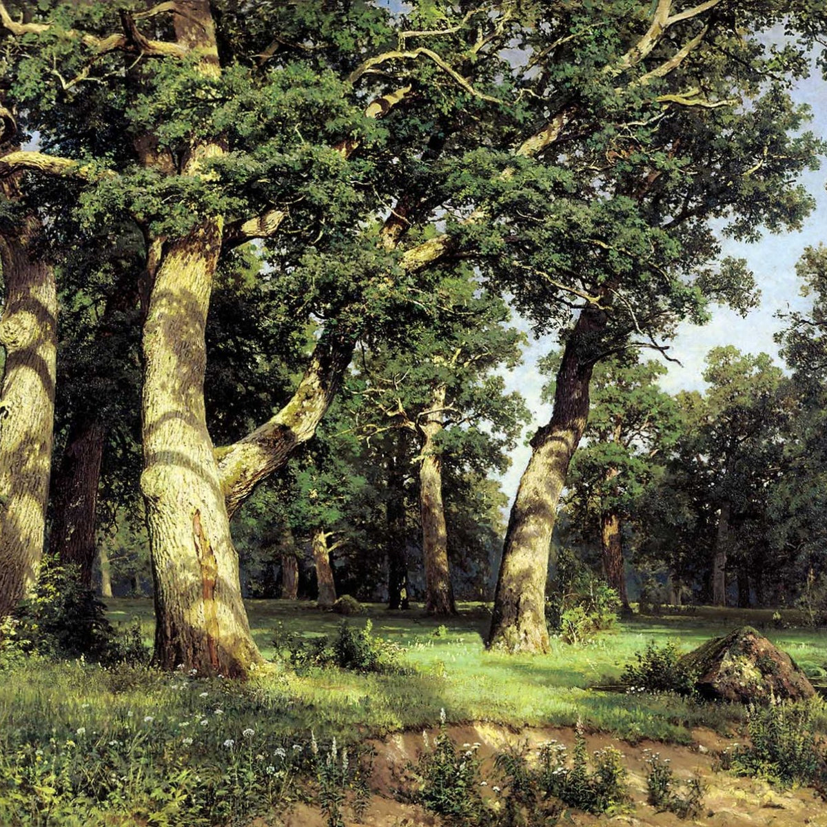 Landscape Oil Painting - Ancient Oak Grove in Sunlight Wall Art - Oil Painting Haven