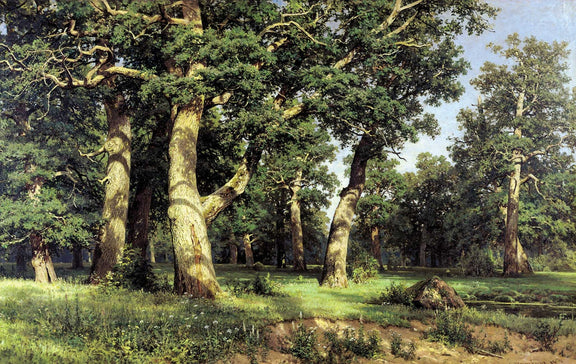 Landscape Oil Painting - Ancient Oak Grove in Sunlight Wall Art - Oil Painting Haven