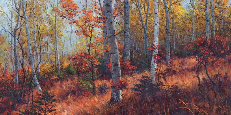 Landscape Oil Painting - Autumn birch forest & woodland scene - Oil Painting Haven
