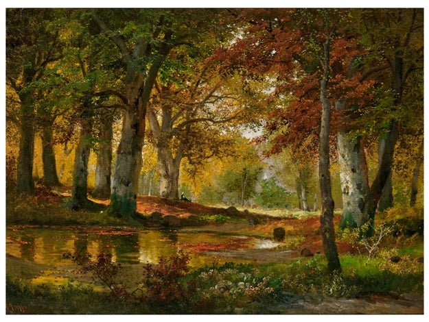 Landscape Oil Painting - Autumn Forest Pond in Golden Light - Oil Painting Haven
