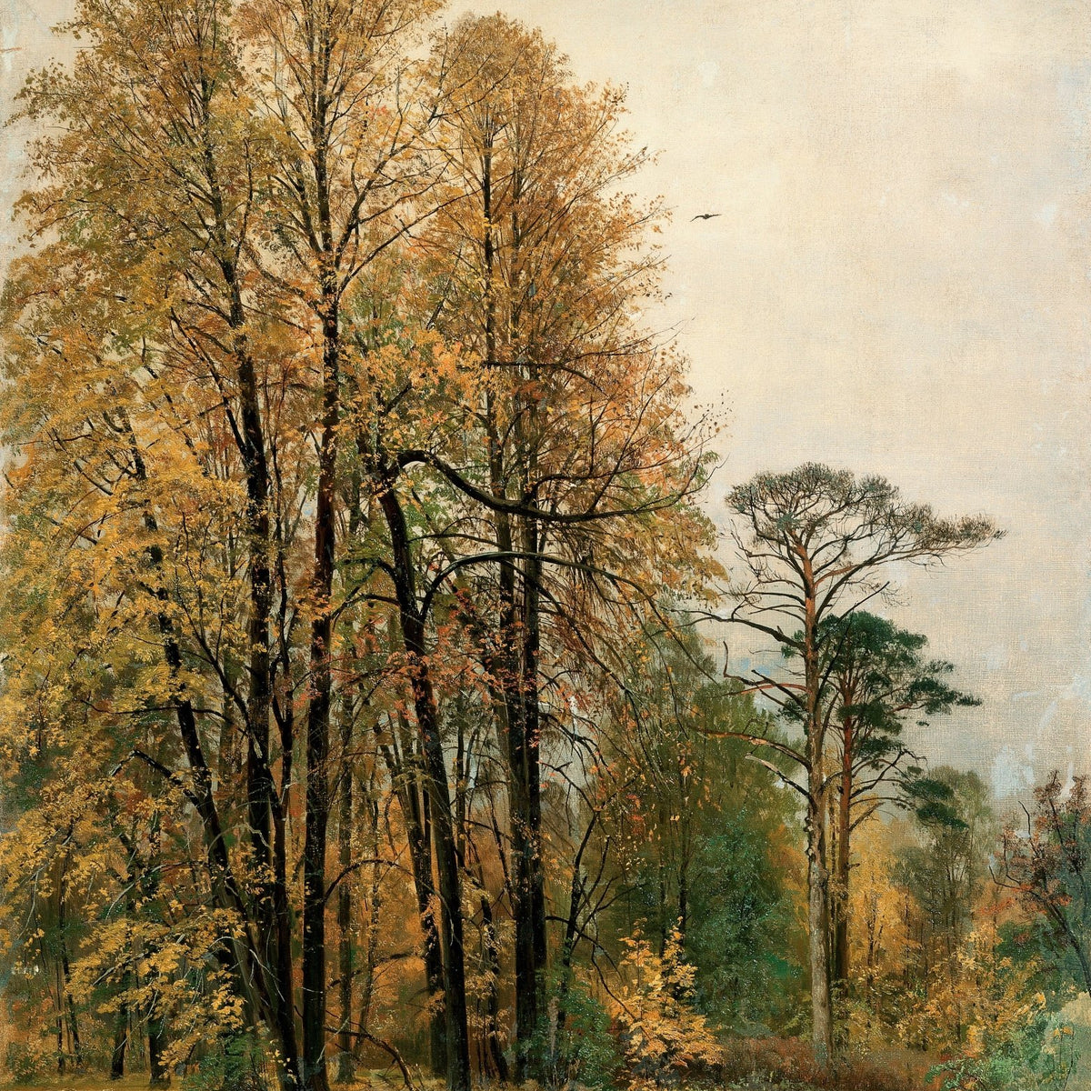 Landscape oil painting of autumn forest trees with textured brushwork on oil on canvas, warm earth tones. - Add Frame, Canvas, Forest, Hand Painted, Landscape, Made To Order, Oil Painting