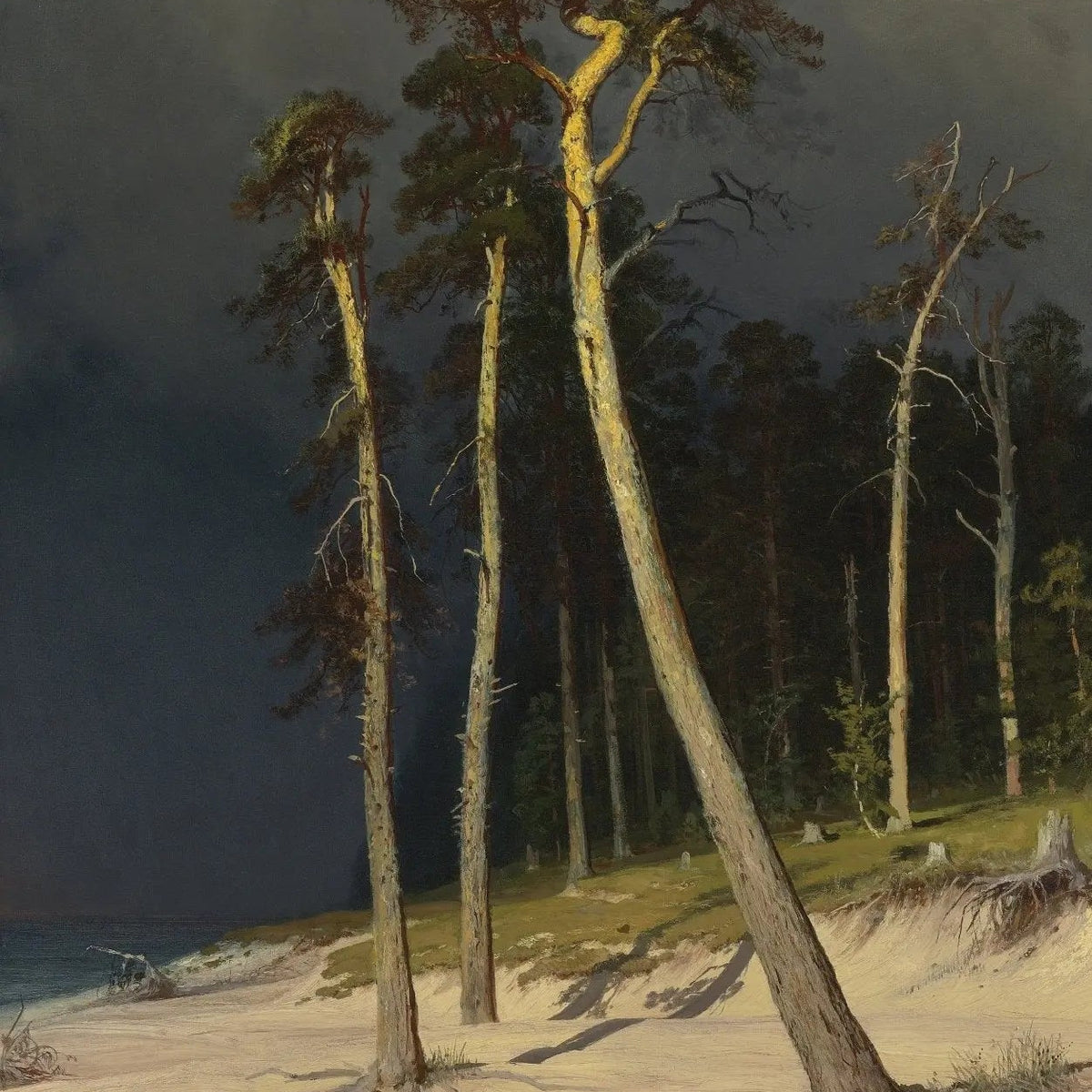 Landscape Oil Painting - Coastal Forest with Tall Pines Wall Art - Oil Painting Haven