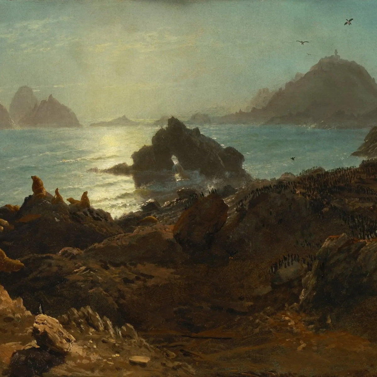 Landscape Oil Painting - Coastal Rocks with Wildlife & Sea - Oil Painting Haven