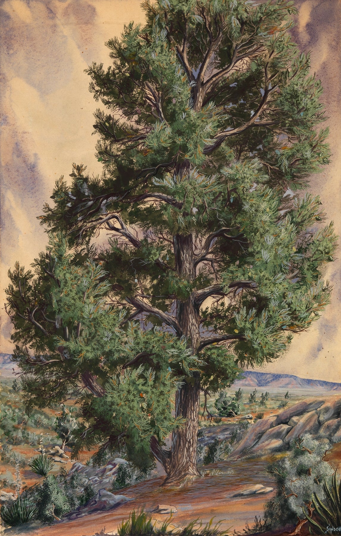 Landscape Oil Painting - Desert Pine Tree in Rocky Wilderness - Oil Painting Haven