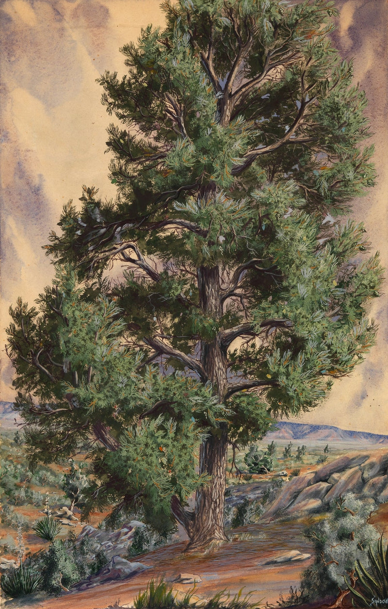 Hand-painted desert pine tree in rocky wilderness landscape oil painting on canvas