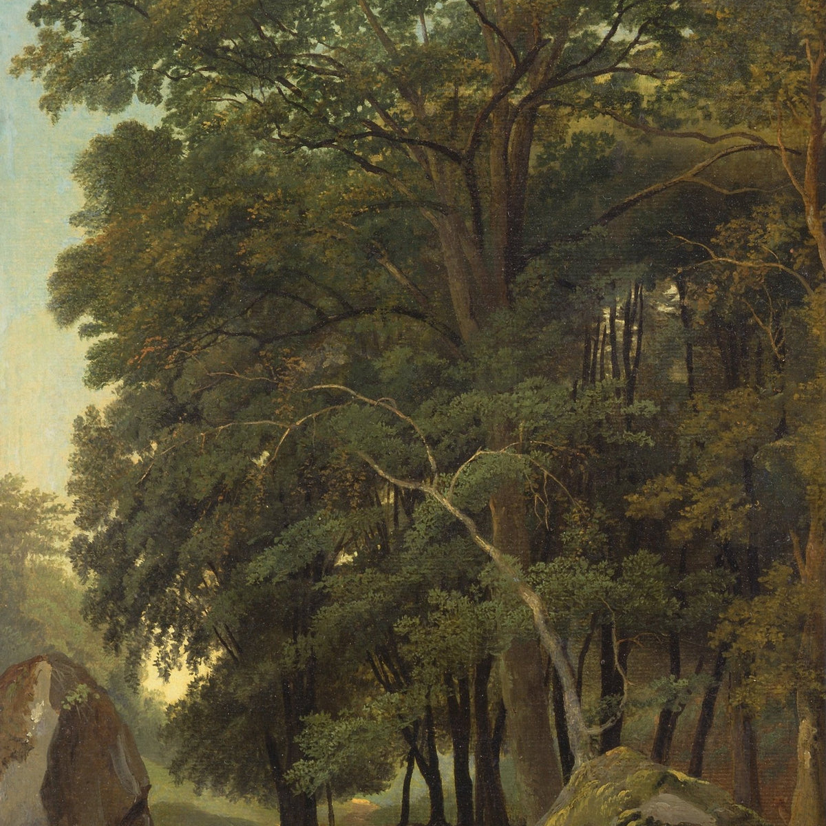 Landscape Oil Painting - ense Forest, Large Trees, Rocks & Path - Oil Painting Haven