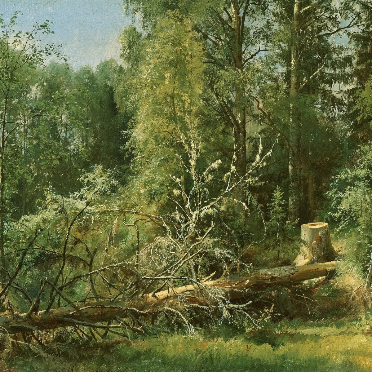 Landscape Oil Painting - Forest with Fallen Tree Wall Art - Oil Painting Haven