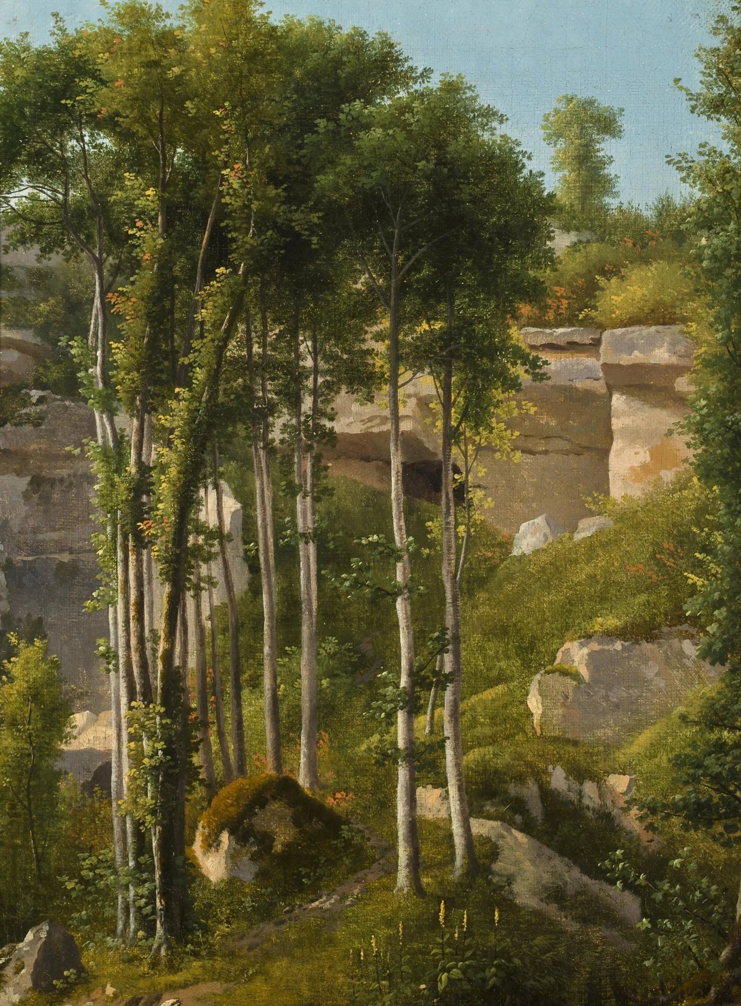 Landscape Oil Painting - Forest with Rocks & Cliff - Oil Painting Haven