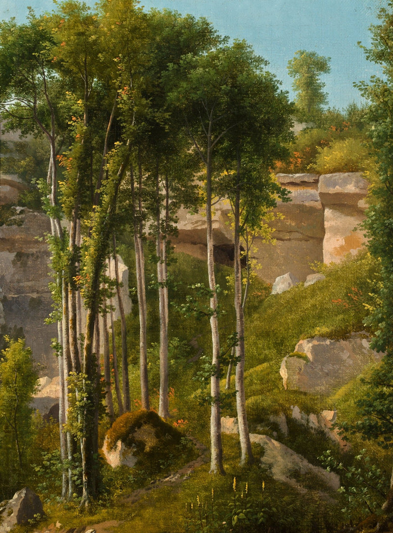 Landscape Oil Painting - Forest with Rocks & Cliff - Oil Painting Haven