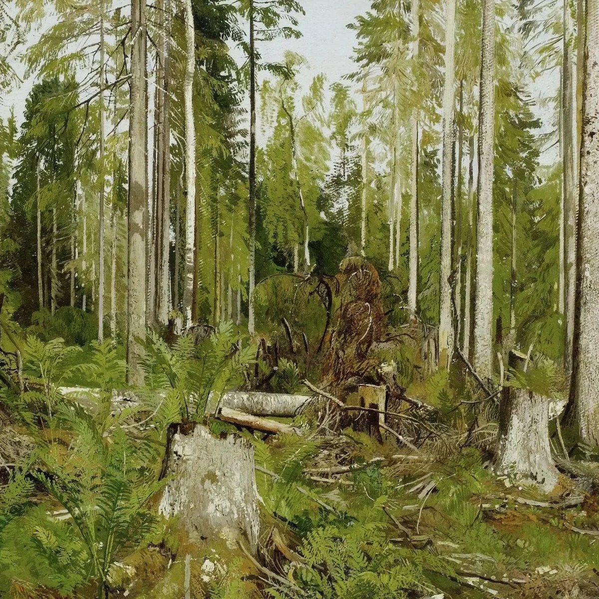 Landscape Oil Painting - Forest with Tree Stumps and Ferns Wall Art - Oil Painting Haven