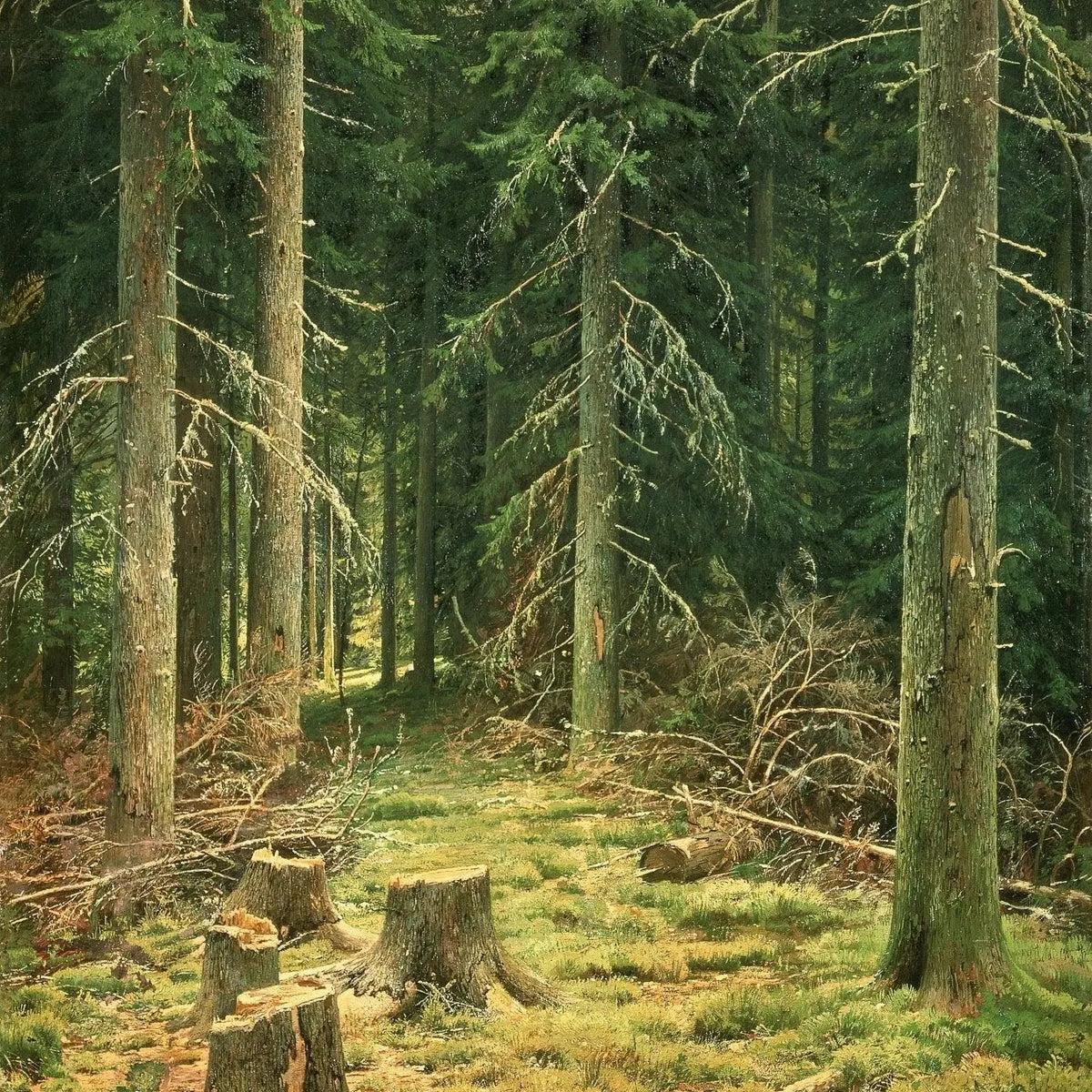 Landscape Oil Painting - Forest with Tree Stumps Wall Art - Oil Painting Haven