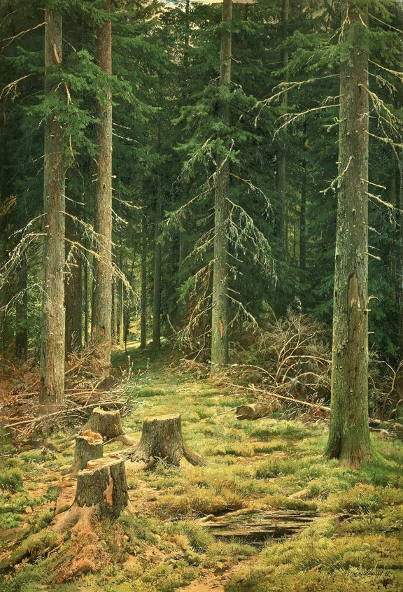 Landscape Oil Painting - Forest with Tree Stumps Wall Art - Oil Painting Haven