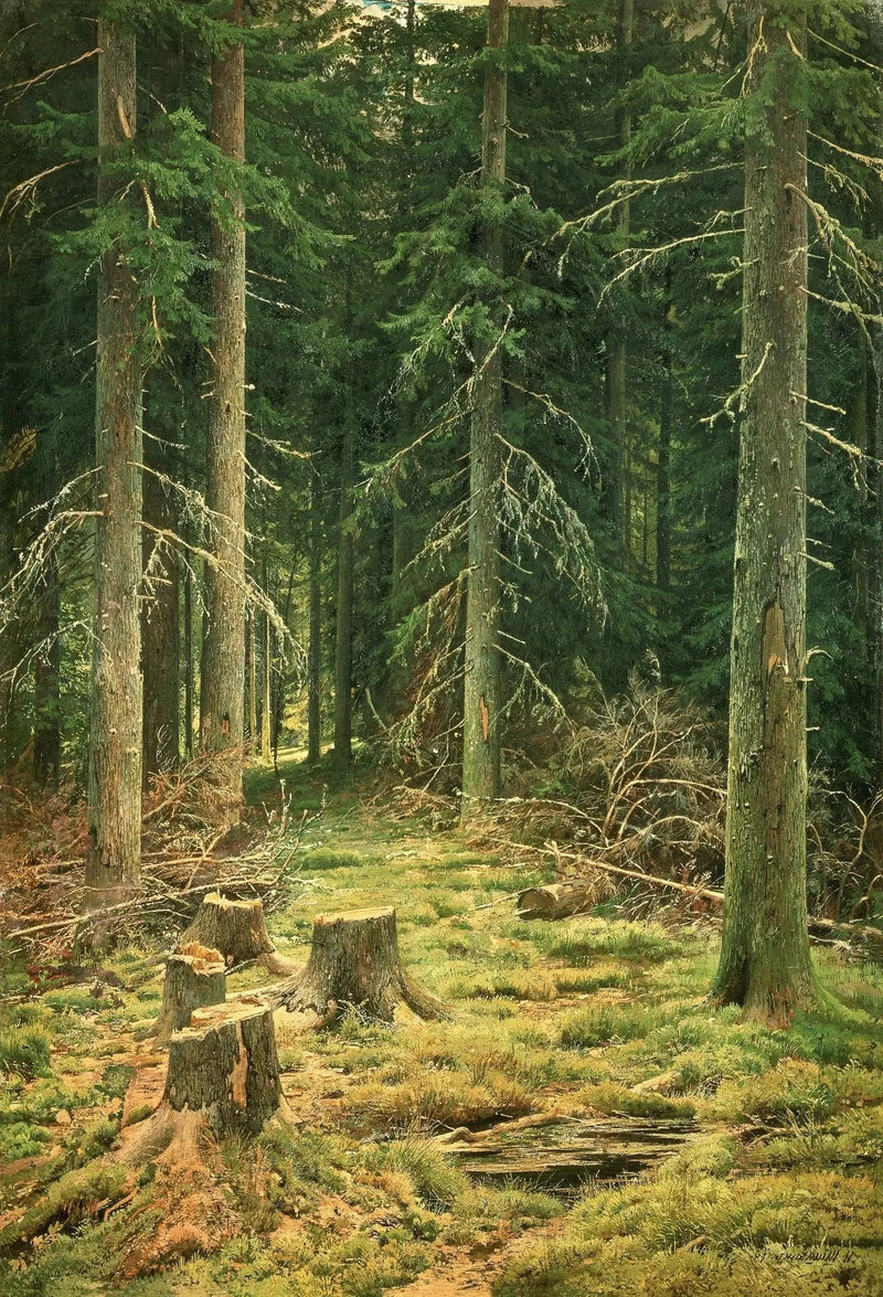 Landscape Oil Painting - Forest with Tree Stumps Wall Art - Oil Painting Haven