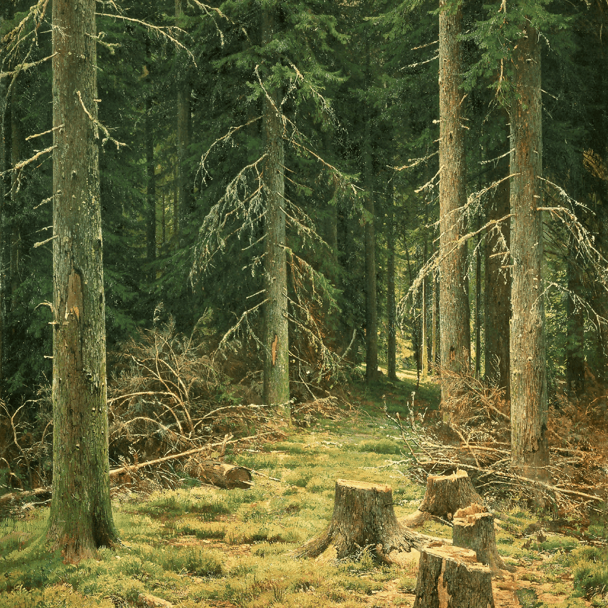 Landscape Oil Painting - Forest with Tree Stumps Wall Art - Oil Painting Haven