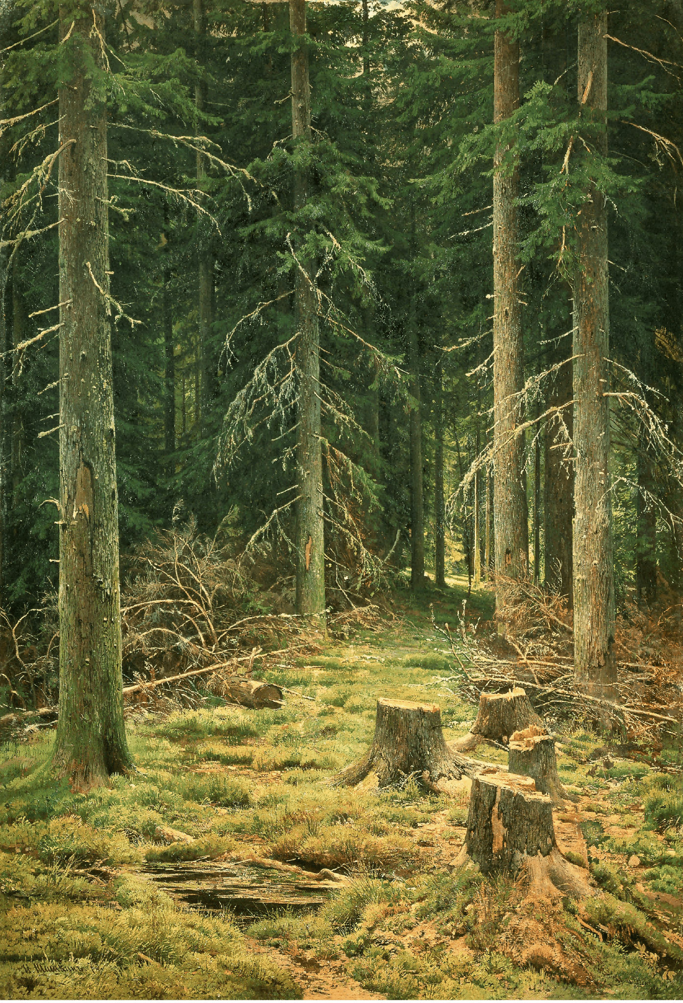 Landscape Oil Painting - Forest with Tree Stumps Wall Art - Oil Painting Haven