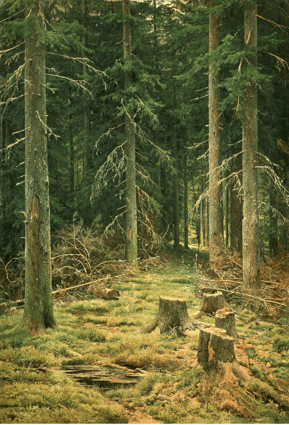 Landscape Oil Painting - Forest with Tree Stumps Wall Art - Oil Painting Haven