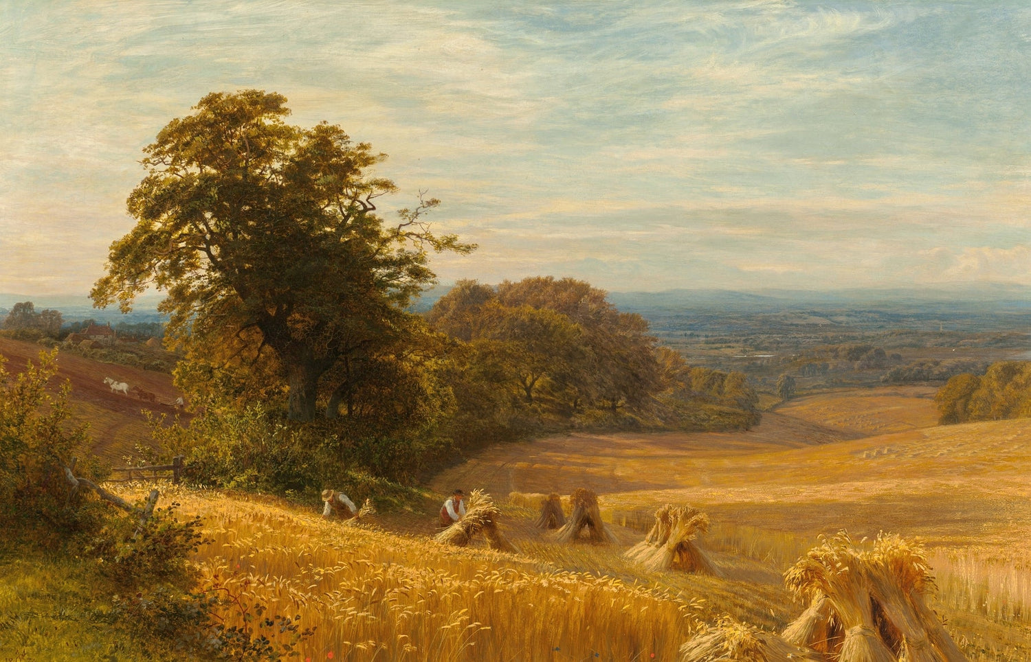 Landscape Oil Painting - Golden Cornfield and Wide Harvest Valley - Oil Painting Haven