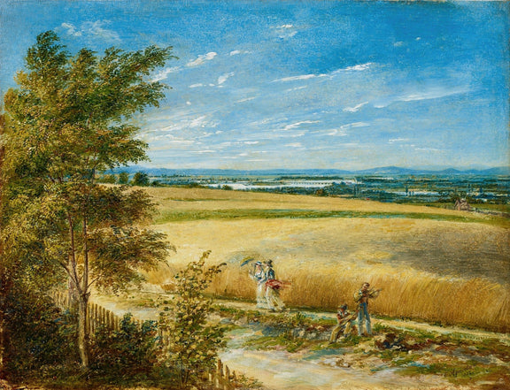 Landscape Oil Painting - Golden Wheat Field and Wide River View - Oil Painting Haven