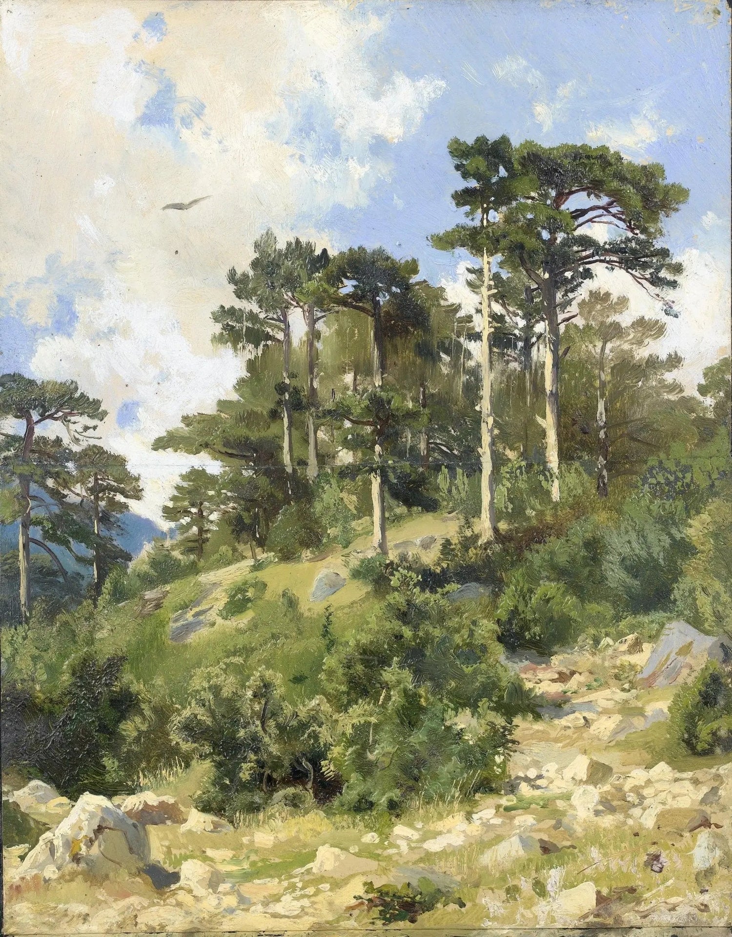 Landscape Oil Painting - Hillside with Pine Trees Wall Art - Oil Painting Haven