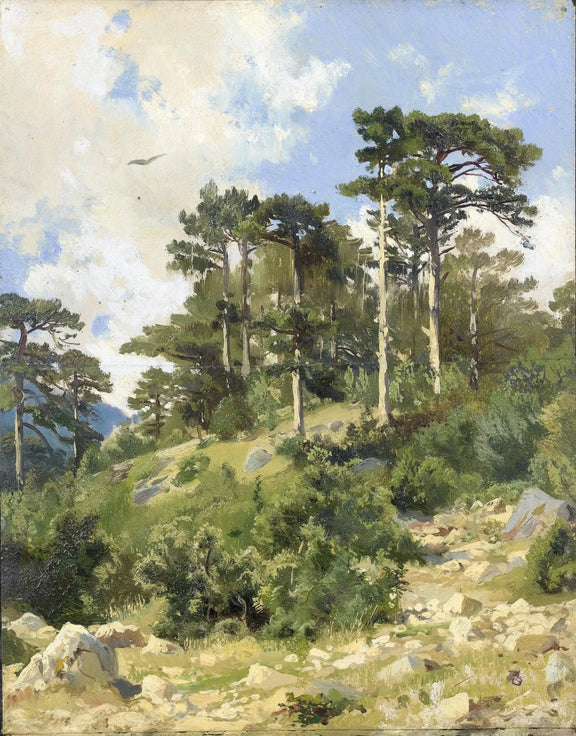 Landscape Oil Painting - Hillside with Pine Trees Wall Art - Oil Painting Haven