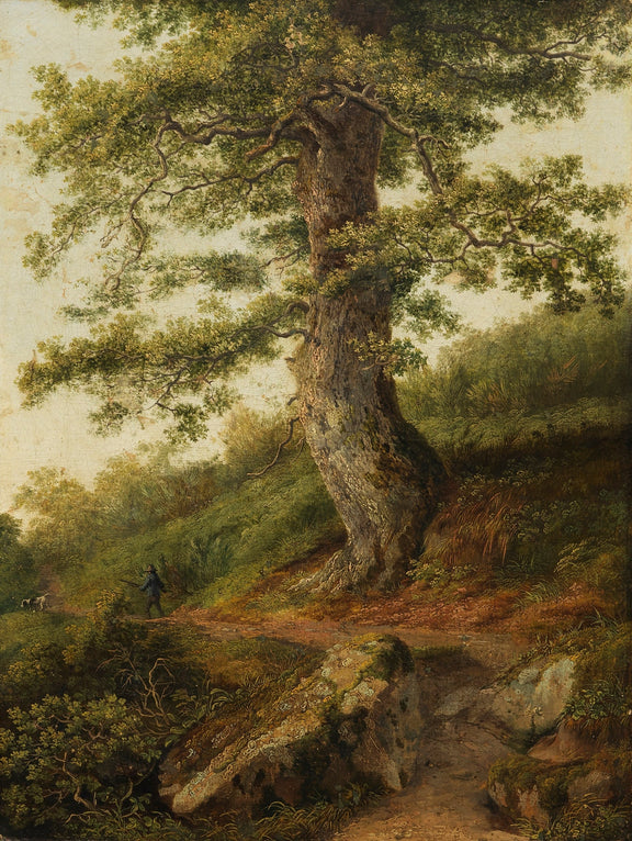 Landscape Oil Painting - Large Old Oak Tree, Woodland Path & Grassy Slopes - Oil Painting Haven