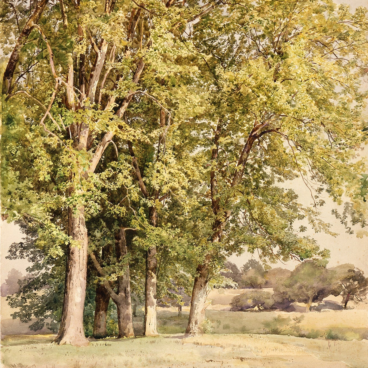 Landscape Oil Painting - Leafy Tree Group, Grassy Field & Rural Views - Oil Painting Haven