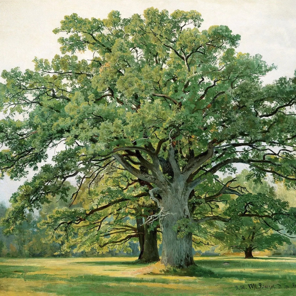 Landscape Oil Painting - Majestic Oak Tree in a Meadow Wall Art - Oil Painting Haven