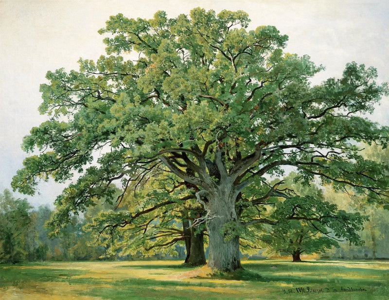 Landscape Oil Painting - Majestic Oak Tree in a Meadow Wall Art - Oil Painting Haven