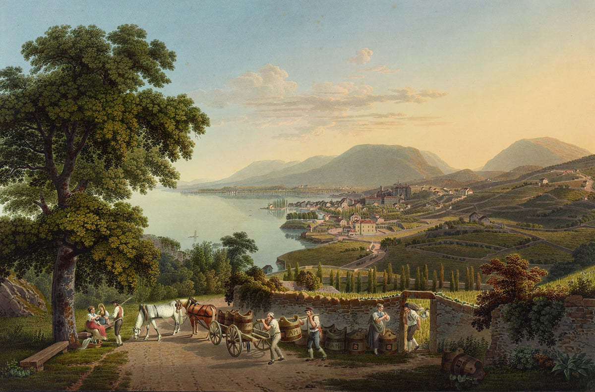 Hand-painted neuchatel vineyards with lake and alps landscape oil painting on canvas