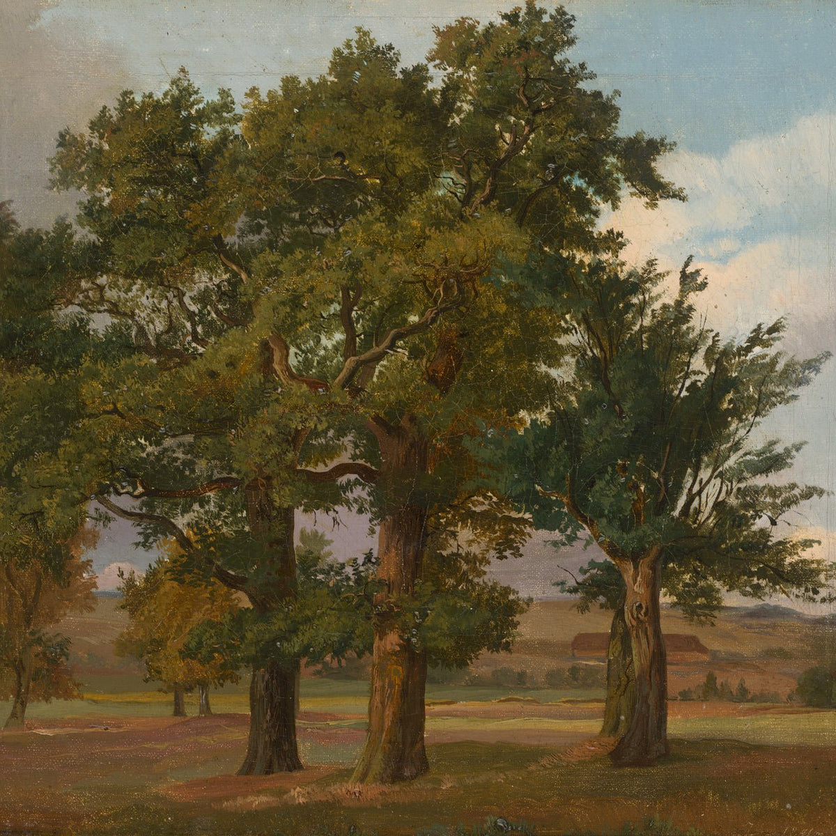 Landscape Oil Painting - Old Oak Trees in Summer Meadow - Oil Painting Haven