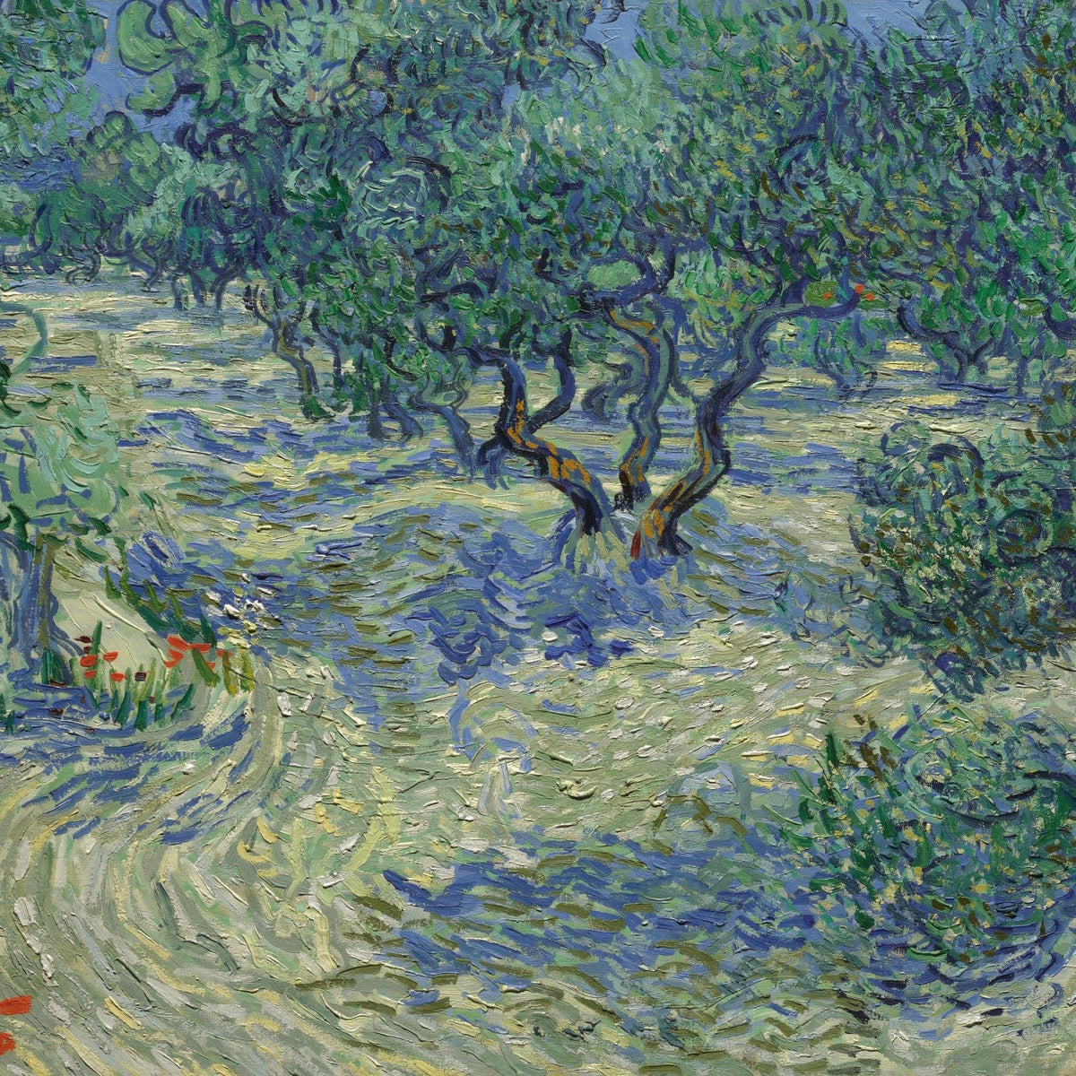 Landscape Oil Painting - Olive Orchard in Blue and Green - Oil Painting Haven