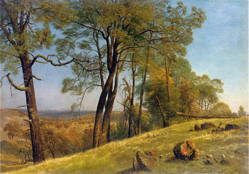 Hand-painted pine tree landscape on a sunlit hill oil painting on canvas