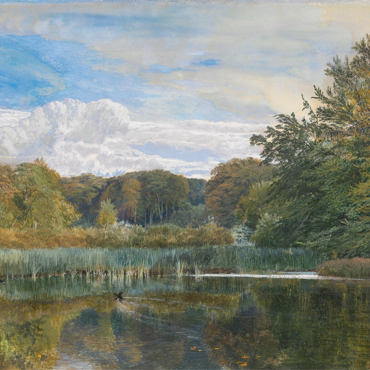 Landscape Oil Painting - Quiet Marsh with Trees and Cloudy Sky - Oil Painting Haven
