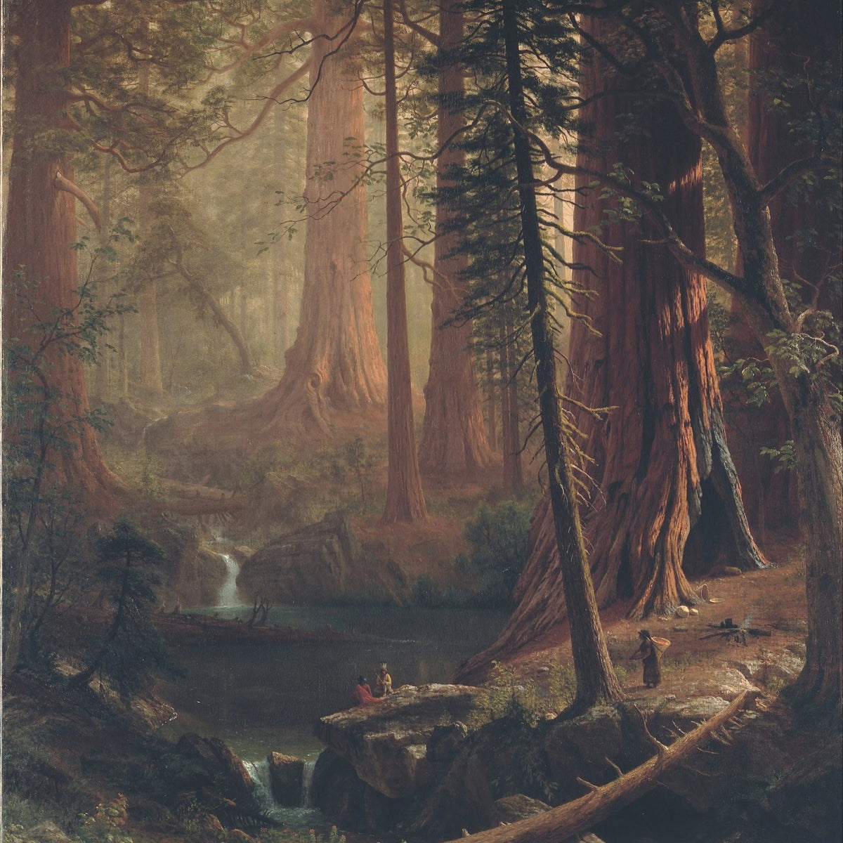 Landscape Oil Painting - Redwood Forest Wall Art - Oil Painting Haven