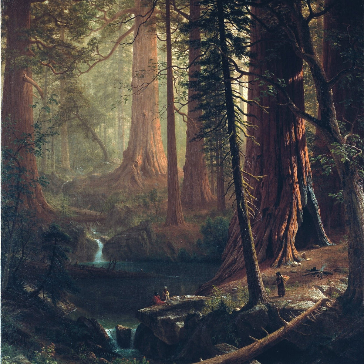 Landscape Oil Painting - Redwood Forest Wall Art