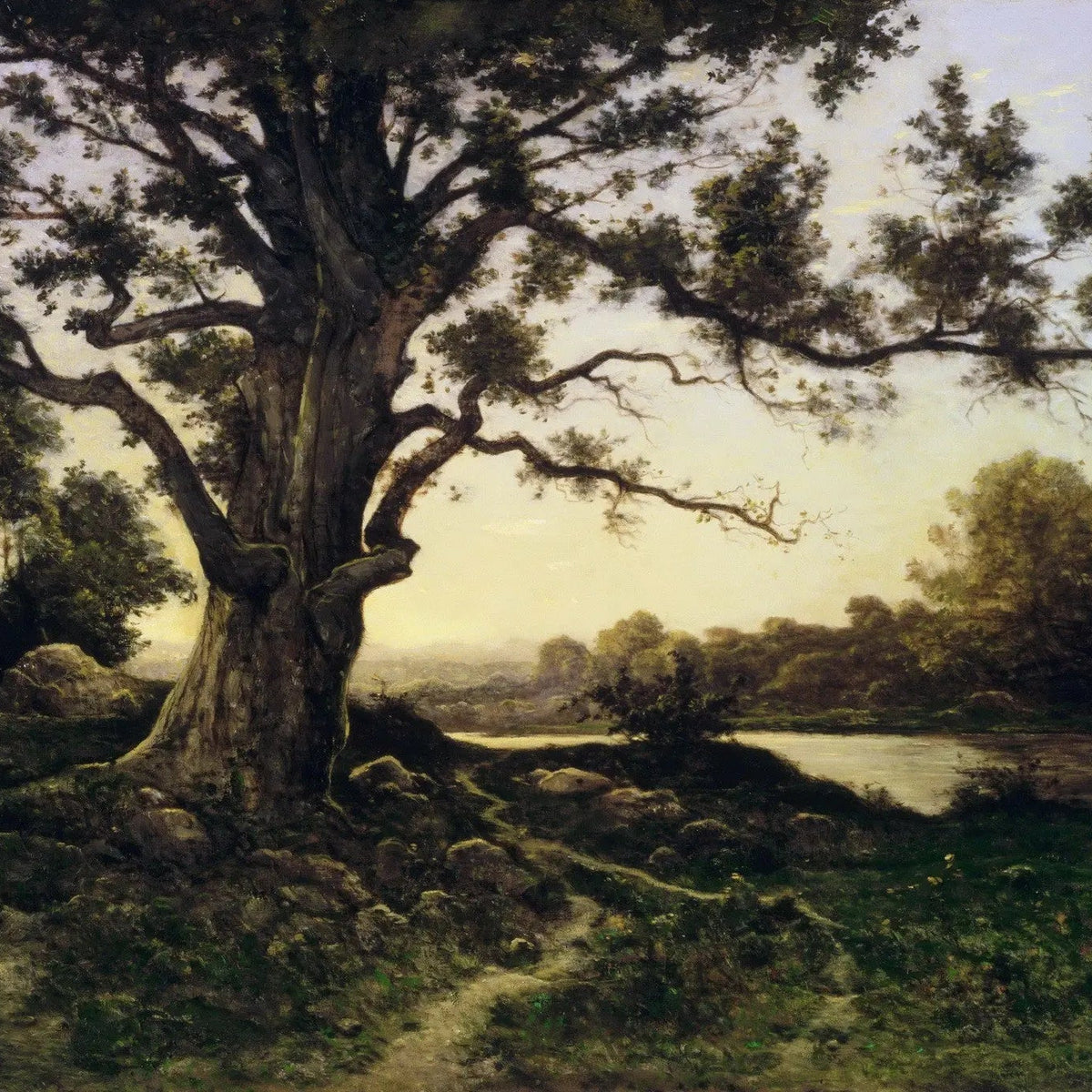 Landscape Oil Painting - Riverside with Large Tree Wall Art - Oil Painting Haven